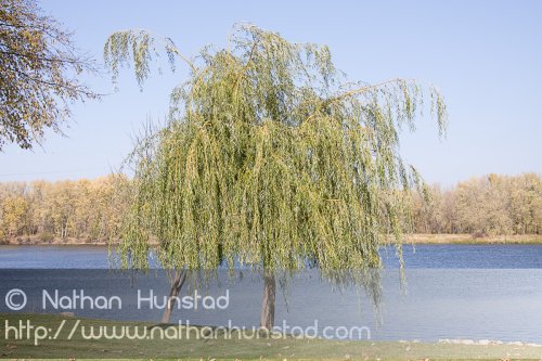 Wabasha_2008-10-25_IMG_2473